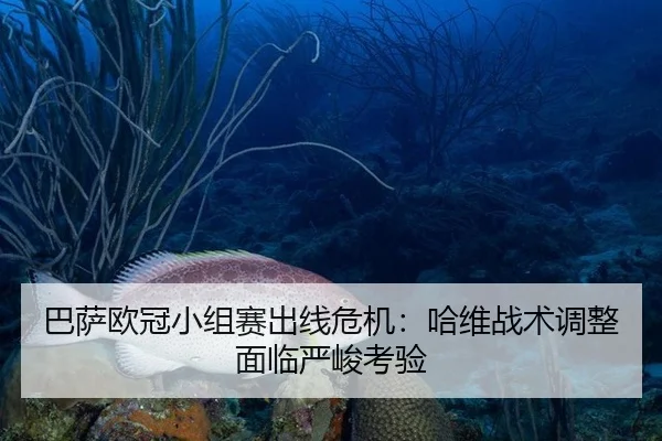 ba-sa-ou-guan-xiao-zu-sai-chu-xian-wei-ji-ha-wei-zhan-shu-tiao-zheng-mian-lin-yan-jun-kao-yan-2-642.jpg