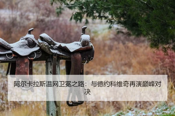 a-er-ka-la-si-wen-wang-wei-mian-zhi-lu-yu-de-yue-ke-wei-qi-zai-yan-dian-feng-dui-jue-2-493.jpg