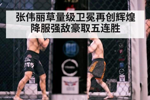 张伟丽草量级卫冕再创辉煌降服强敌豪取五连胜